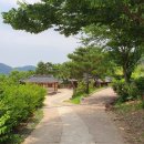 초가장 및 담장장 이미지