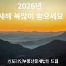 주식회사 늘푸른부동산중개법인 | 2026년 병오년 새해의 희망을 이야기하다