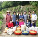 이두수 농장 이미지