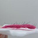 [미용정보] 임산부 브라질리언 왁싱 리얼 체험 후기