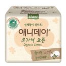 애니데이 이미지