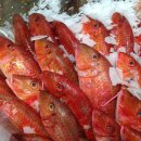 온누리주유소 이미지