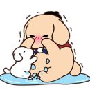 즐거운애견미용실 이미지
