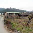 기계중학교기북분교장 이미지