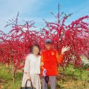 논산행복한요양병원 이미지