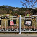 어린이 생활체육 이미지