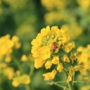 함박골큰기와집 이미지