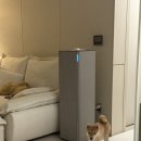 큐티펫 | 반려동물 펫매트 추천 | 휘슬펫 미끄럼방지매트 한달 사용후기