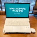 아이패드로 배우는 펜 드로잉 | 아이패드 드로잉 1:1 수업 후기 | 원하는 그림으로 배우는 맞춤형 클래스