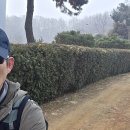 늠내길 1코스 숲길 이미지
