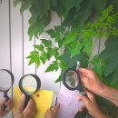 계산관광지 이미지