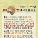 황태빵 이미지