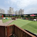 라운지 도그 이미지