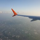 11650-11-50-4 | JEJU 22개월 아기랑 11월 가을 제주여행 3박 4일 일정 공유