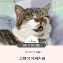 청학동물병원 이미지