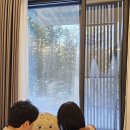 국내 태교 여행 추천 강원도 2박 3일 여행 코스(임산부 태교여행 시기)