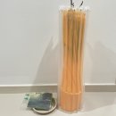초르시 | 초르시, 공기정화식물 아랄리아 플랜테리어 식물 추천