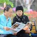 모아정 뉴시스