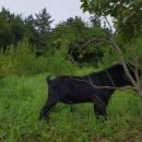 천관농장 이미지