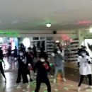 레드윙 복싱 이미지