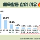 아뮤즈폴댄스&플라잉요가