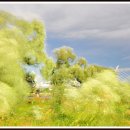 동촌유원지 이미지