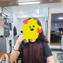 동방 셀프 세탁 이미지