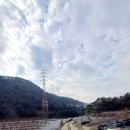 흥아농장 네이버블로그