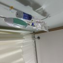 마미캐티 이미지