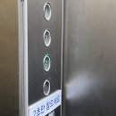 태화강민물장어 | 울산 공업탑 맛집 태화강 민물장어 후기