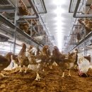 평사농장 이미지