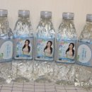 다미수