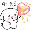 반값애견 이미지