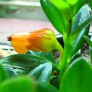 보리수식당 이미지