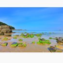 태안바다 이미지