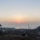 쁘띠 끌레오