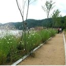 회동저수지 티스토리