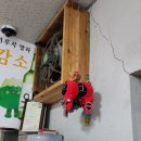 정의골도감소정육식당 | [찐 표선 성읍 로컬 맛집] 성읍리도감소정육식당(정의골도감소정육식당) – 초복 맞이 흑염소 전골...