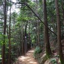 해금강주차장 이미지