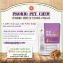프로코아