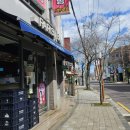 표선환승정류장(표선리사무소)[동] 네이버블로그