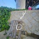 청도천8 | [대구 경북 배스 낚시 포인트] 청도천에서 넣으면 나오는 대박 포인트 공개, 13마리 조과 후기