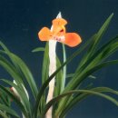 (주)금화 이미지