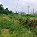 구룡천1 이미지