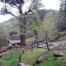 합동운수 이미지