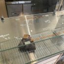 작화카페 이미지