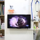 쿨독동물병원 이미지