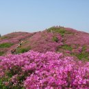 제572회 정기 산행 (25.05.04)ㅡ 전북 남원시 ㅡ 지리산 바래봉 이미지