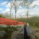 순천만의 추억 이미지