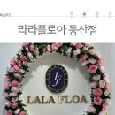 라라플로아 티스토리